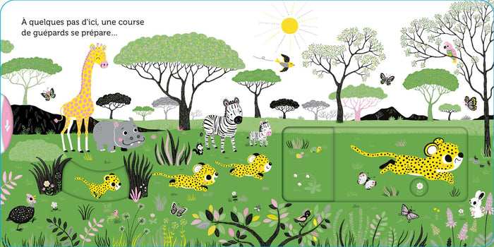 Promenade dans la savane