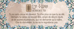 Le petit oracle du druide