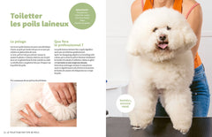 J'apprends à toiletter mon chien