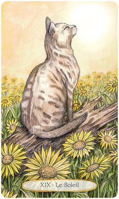 Le tarot spirituel des chats