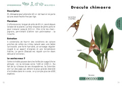Le Petit guide des orchidées