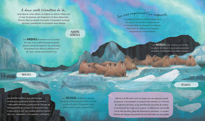 Un hiver en Arctique