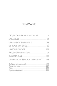 Pourquoi méditer - Les clés de la clarté et de la compassion