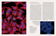 Cellules - Une histoire de la vie