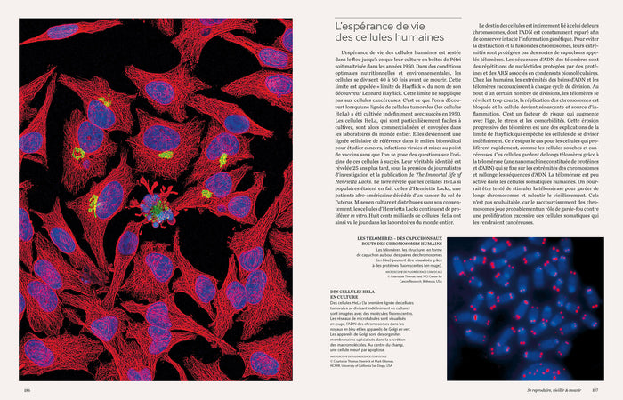 Cellules - Une histoire de la vie