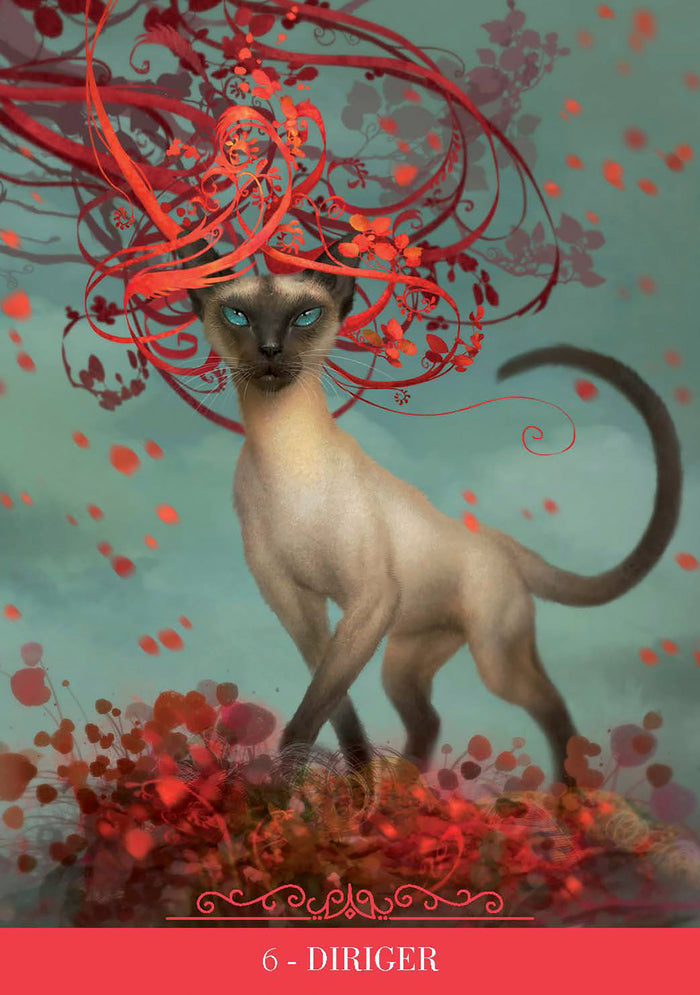 Coffret Oracle des chats fantasy