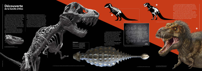 T-rex - Le roi des dinosaures - Nouvelle édition
