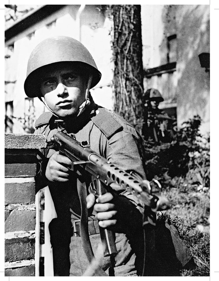 La grande histoire des armes