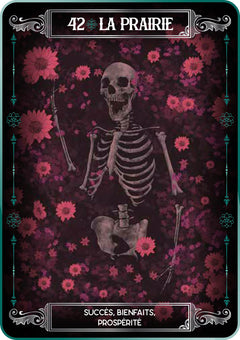 Coffret Earth and Bone - Cartes Oracle