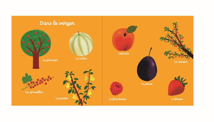 100 mots de la ferme