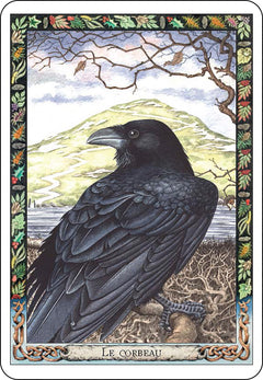 L'oracle des druides