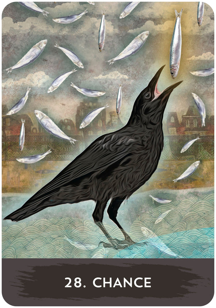 Coffret Oracle du corbeau