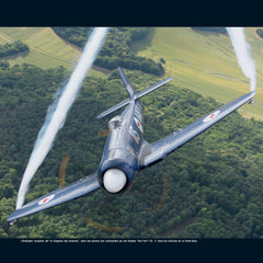 Avions d'exception - Les plus beaux avions de collection en vol