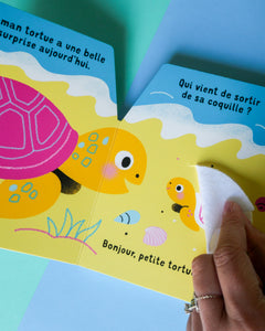 Cache-cache petite tortue des mers