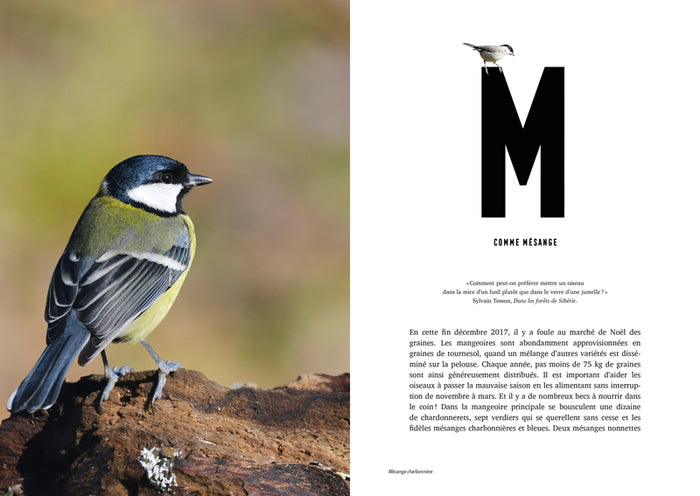 Les lettres de mon jardin