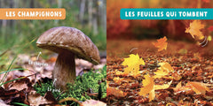 MON 1ER DOC PHOTOS - SAISONS