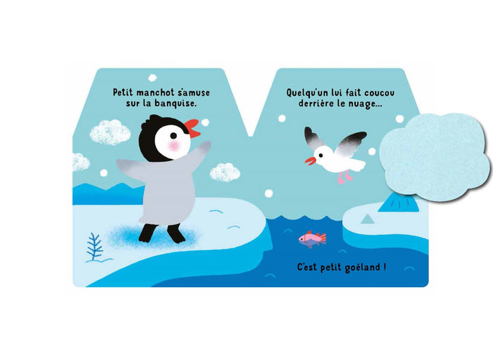 Cache-cache petit manchot