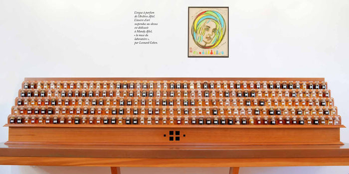 Voyage dans le monde du parfum - Le musée des senteurs