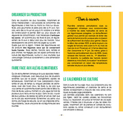 Légumineuses, des protéines au potager