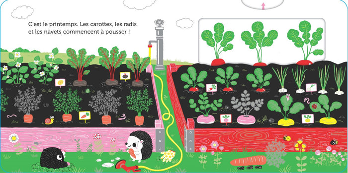 Promenade au potager