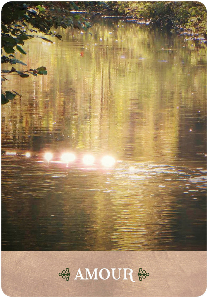 L'oeil de Gaïa - 35 cartes oracle pour vous connecter avec les esprits de la nature