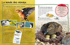 Les oiseaux