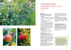 Un potager productif et naturel