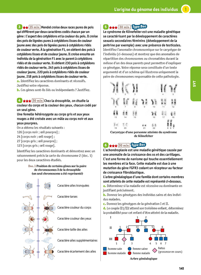 L'année de Terminale