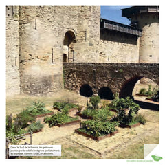 Je crée ma pelouse écologique, refuge de biodiversité