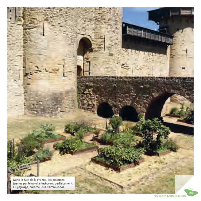 Je crée ma pelouse écologique, refuge de biodiversité