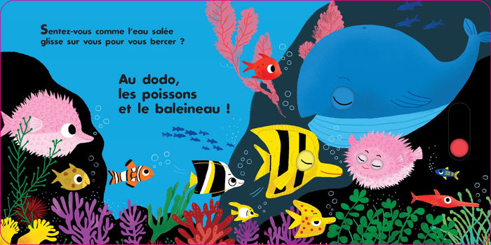 Au dodo - les amis de la mer