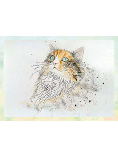 Méditations de chats