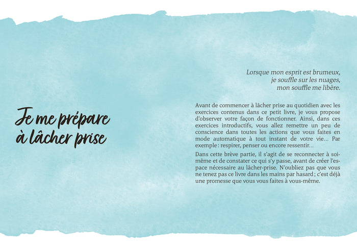 Petit livre - 5 minutes... pour lâcher prise - Mon petit journal pour prendre du recul et retrouver mon harmonie