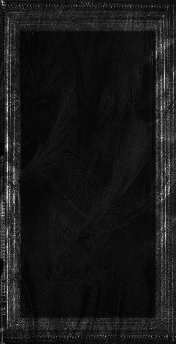 Le vilain petit canard