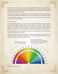 Le grand grimoire des fées et des lutins
