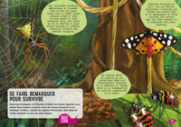 Guide des insectes du monde et autres invertébrés