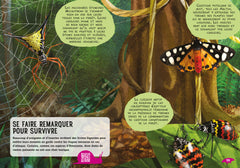 Guide des insectes du monde et autres invertébrés