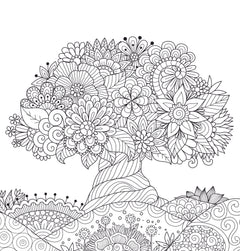 Merveilleuse nature - Coloriages pour me détendre