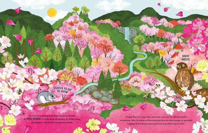 Une année autour du monde