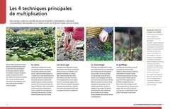 Multiplier toutes les plantes - Semis, bouturage, greffe, marcottage, division