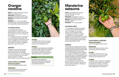 Le guide de la serre - Choisir, installer, cultiver - Serre tunnel, serre en verre, serre enterrée... - Prolonger les saisons et récolter toute l'année