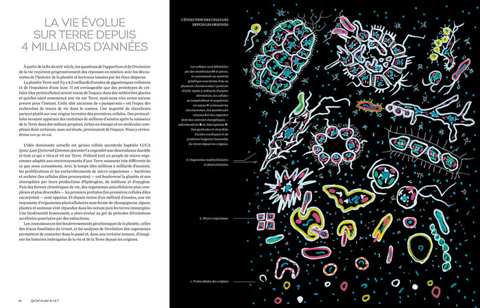 Cellules - Une histoire de la vie