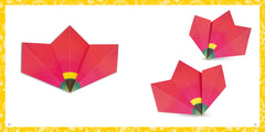 Origami fleurs