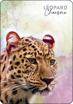 L'oracle du peuple des sages