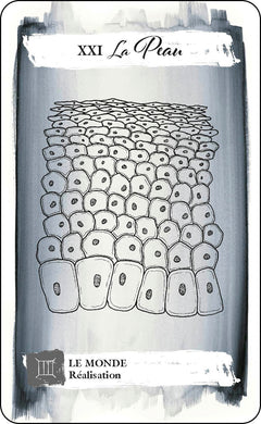 Tarot du corps - Explorez vos désirs à travers les messages de votre corps