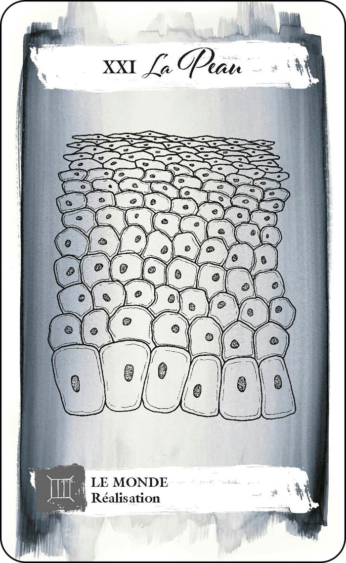 Tarot du corps - Explorez vos désirs à travers les messages de votre corps