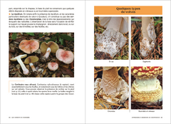 Les Carnets du Scarabée - Champignons