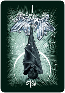 Coffret l'Oracle runique des animaux