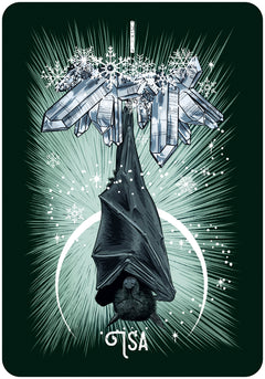 Coffret l'Oracle runique des animaux