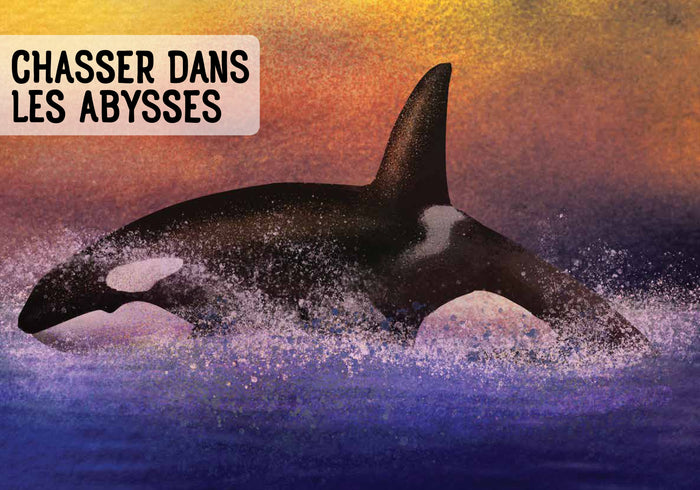 Guide des requins et baleines et autres géants de la mer